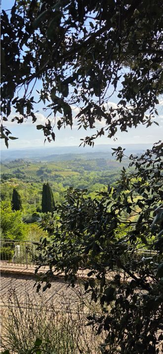 Tuscan countryside seen through leafy branches