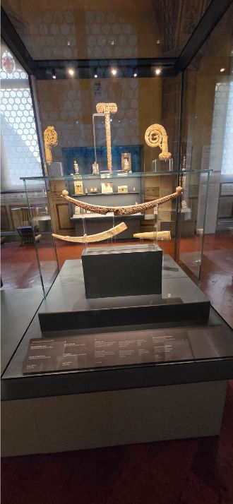 Historic musical instruments displayed at the Accademia