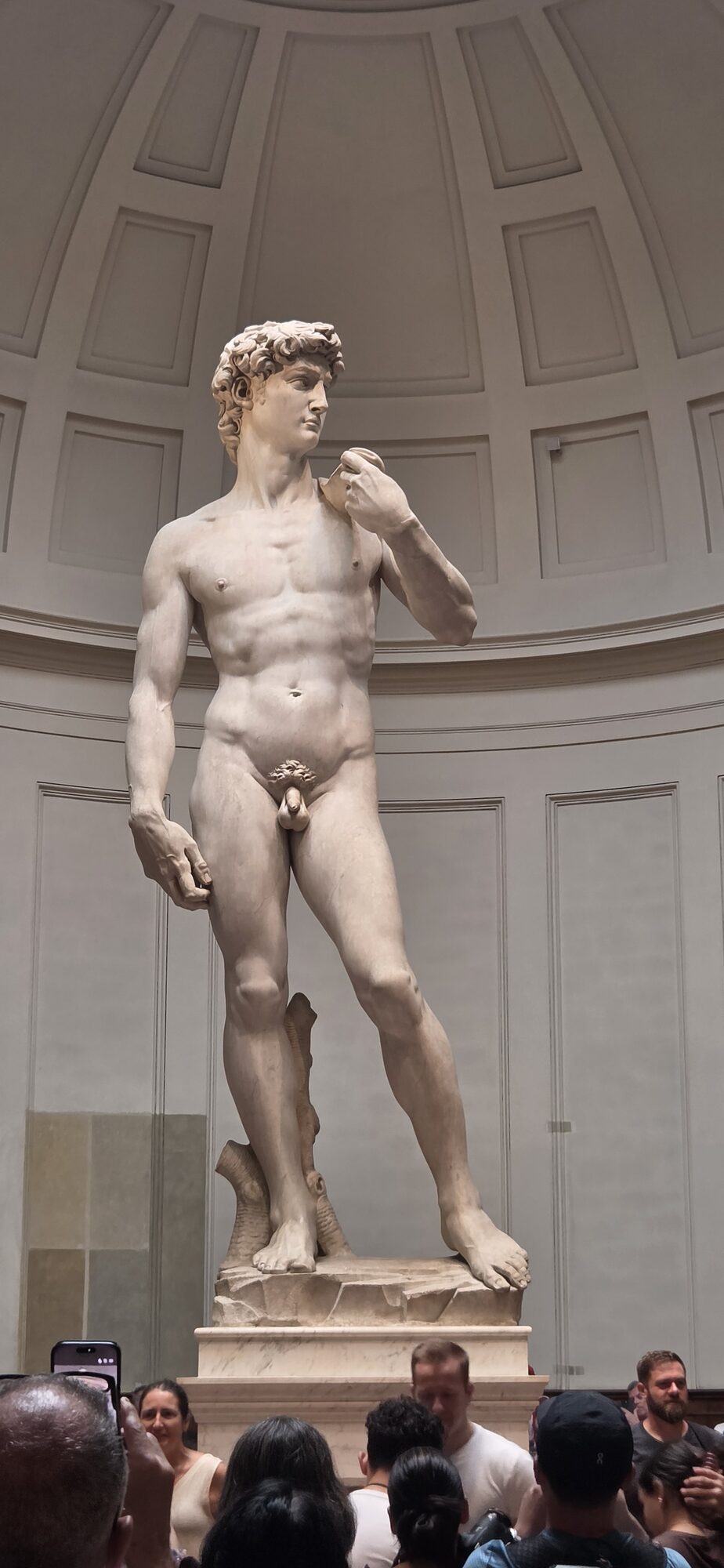 Michelangelo's David beneath the Accademia dome