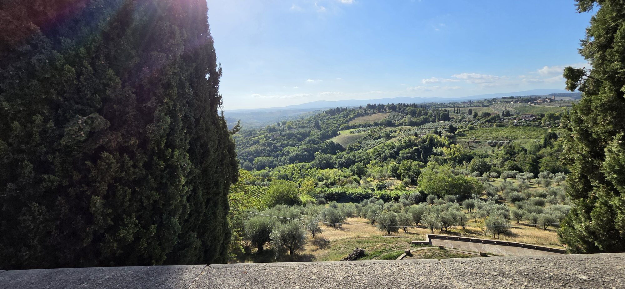 Shiloh beneath the towers of San Gimignano