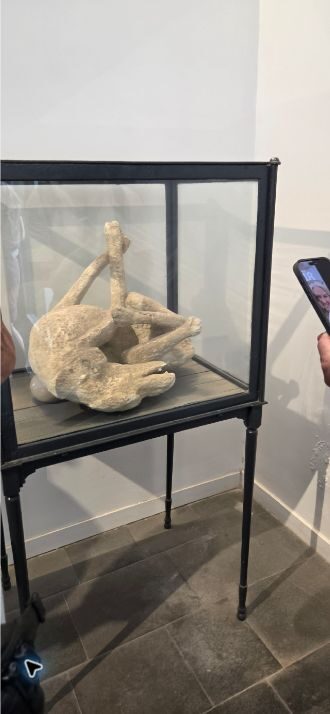 Cast of a dog displayed at Pompeii